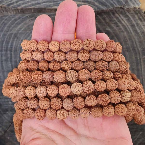 rudraksha-koralky-9-10mm-snura-1