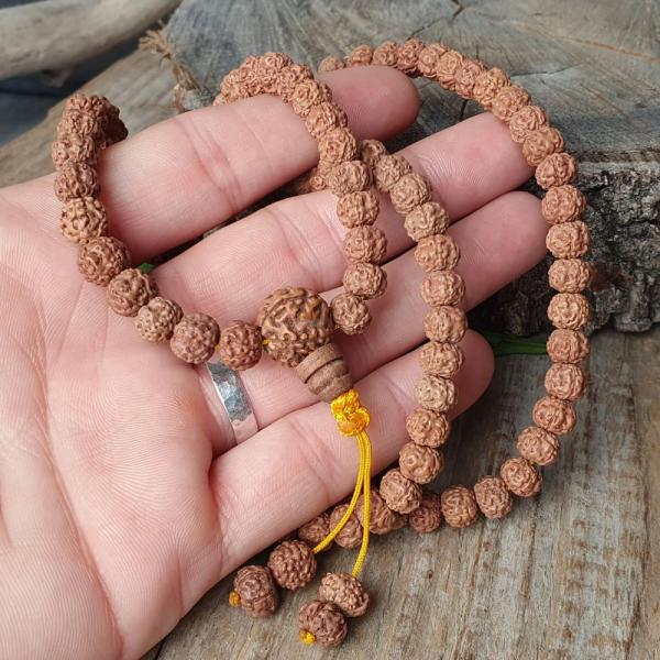 Rudraksha gyngyk 7- 8 mm zsinr