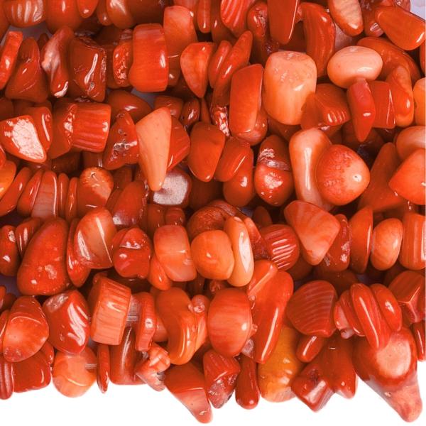 V�r�skorall �sv�nyt�rmel�k zsin�r