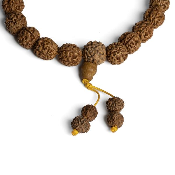 3412-rudraksha-koralky-11-12mm-snura-2