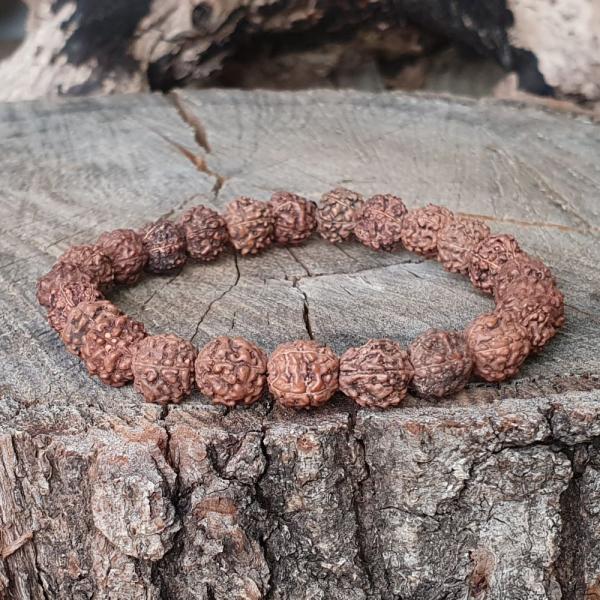 Rudraksha magok 8 - 9 mm karkt